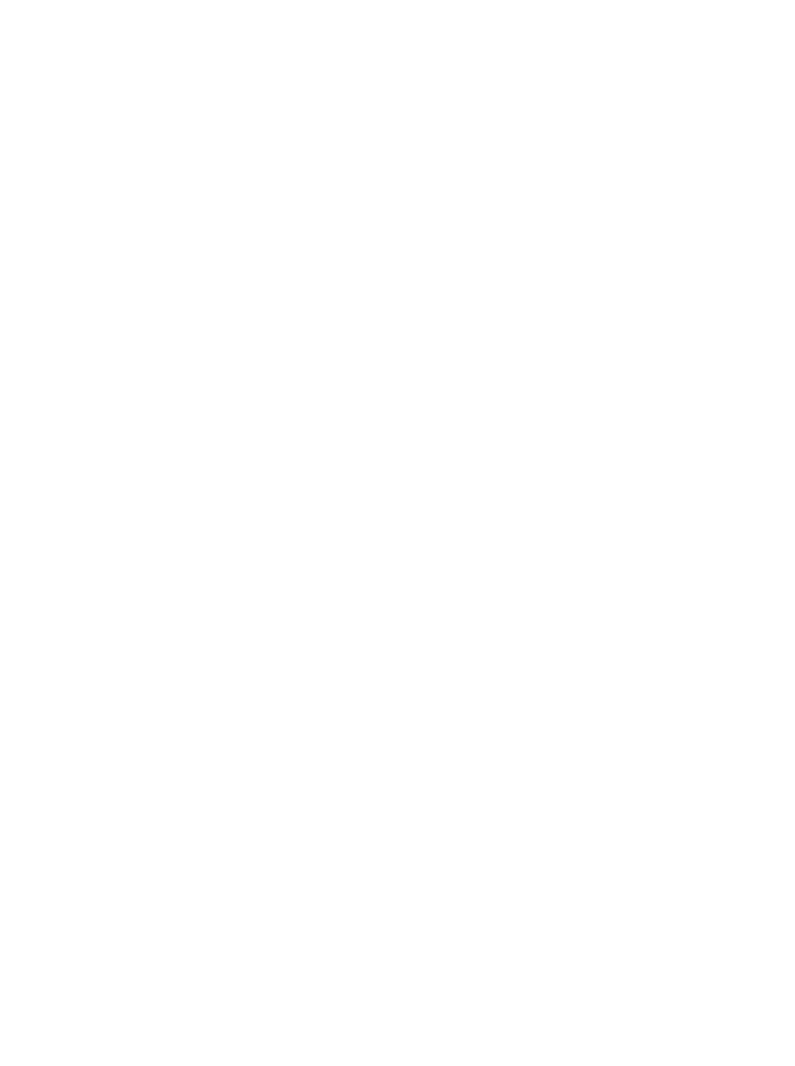 Terra Reparos